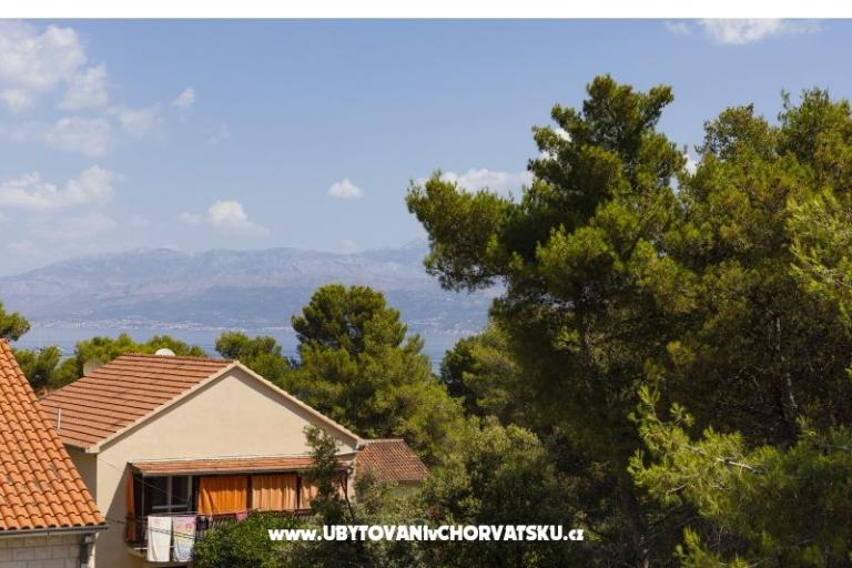 Seaview apartment Andrea 200 m from – photo 11