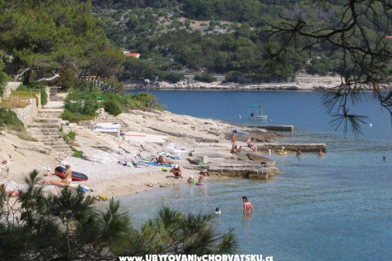 Villa Ana Pension – photo 6
