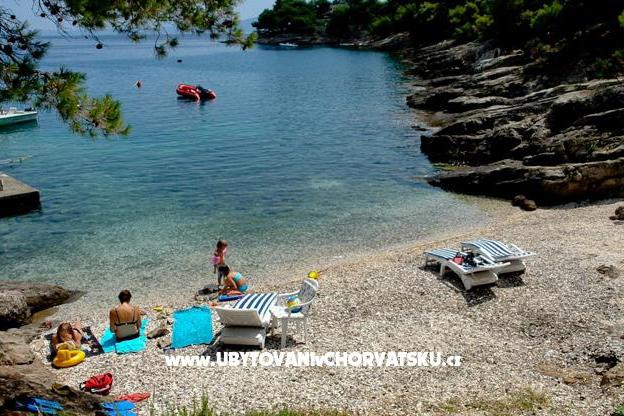 Vila Amelia – photo 5