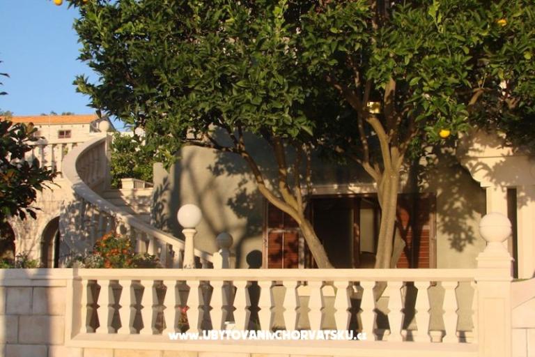 Villa Anita – photo 11