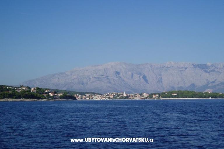 Villa Anita – photo 13