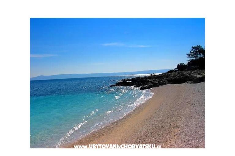 Villa Anita – photo 14