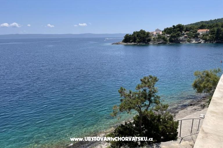 Villa Bilić – photo 20