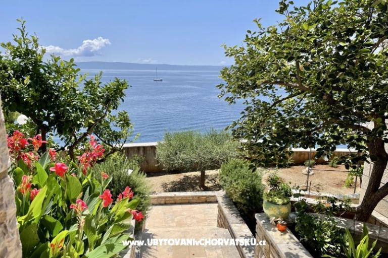 Villa Bilić – photo 22