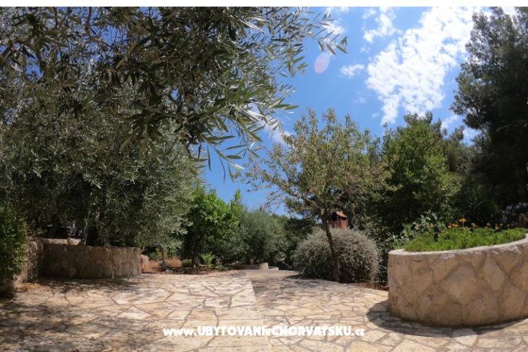 Villa Gudelj – photo 14