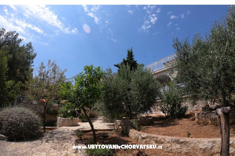 Villa Gudelj – photo 15