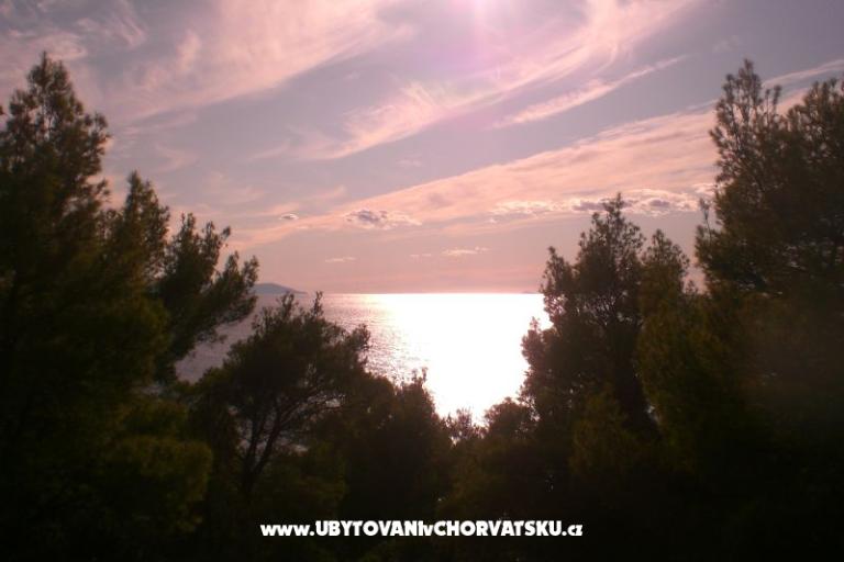 Villa Gudelj – photo 28