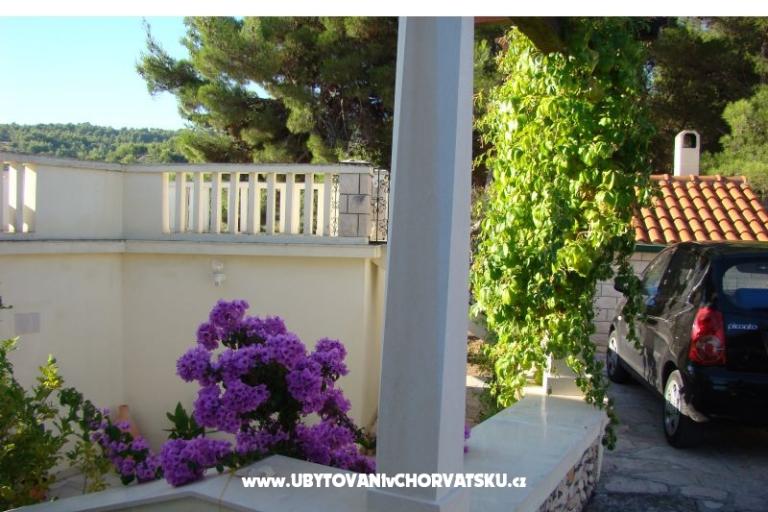 Villa Magda – photo 7