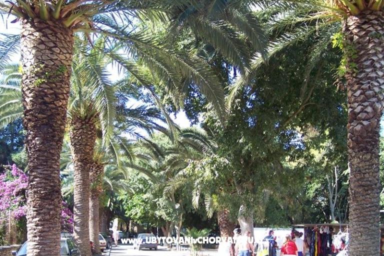 Villa Nelly – photo 21