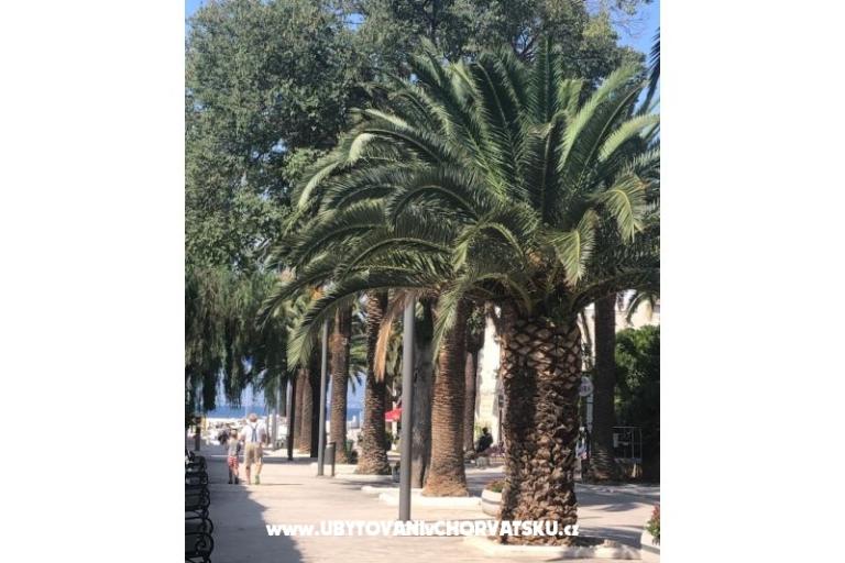 Villa Nelly – photo 26