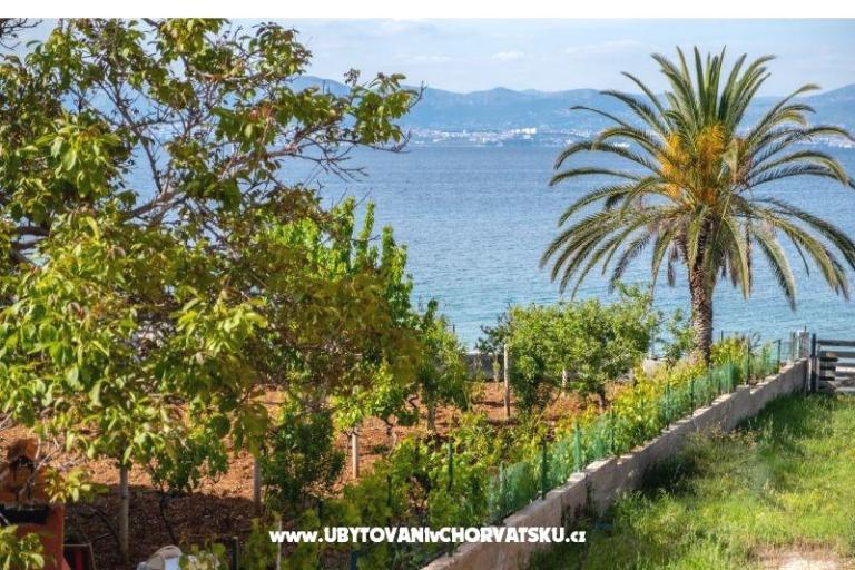 Villa Nelly – photo 6