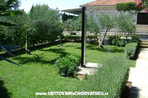 Villa Nikola – photo 4