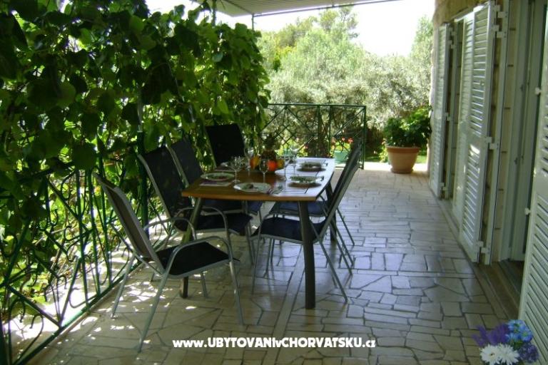 Villa Nikola – photo 5