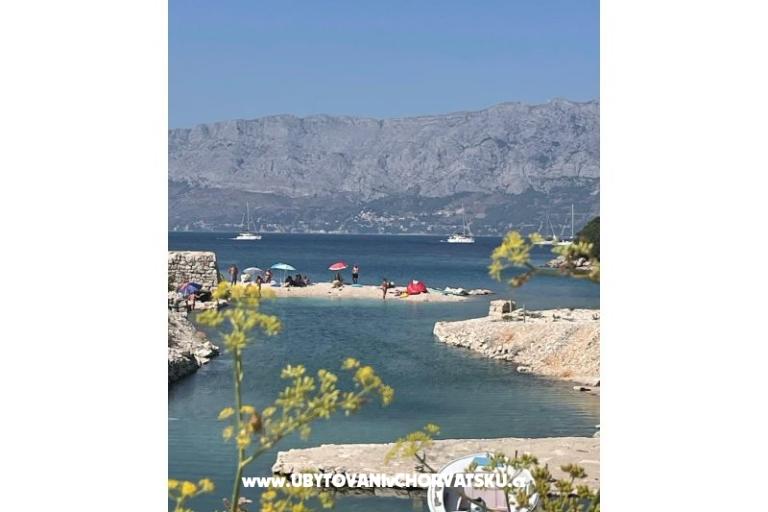 Villa Silvia – photo 7