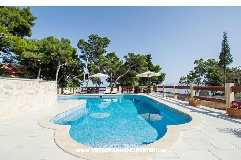 Villa Vera – photo 9