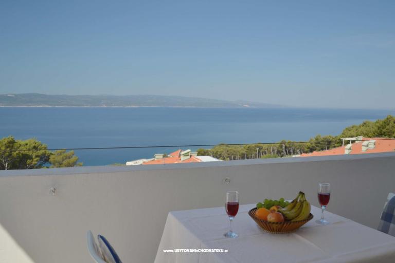 Apartments Jovic – photo 6