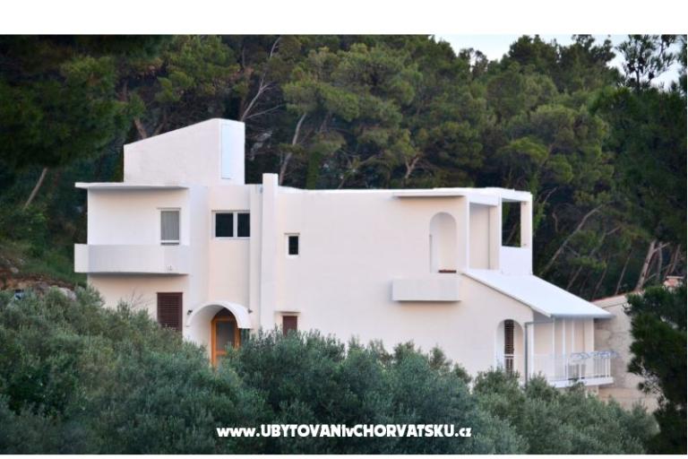 Apartments Jovic – photo 8