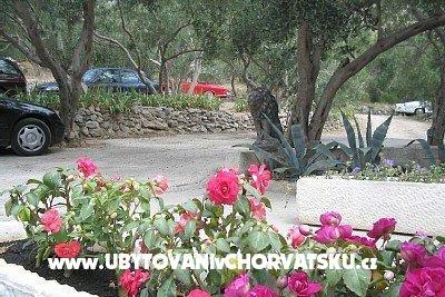 Apartments Nada Mustapić – photo 3