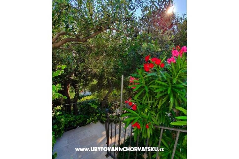 Apartment Renata – photo 5