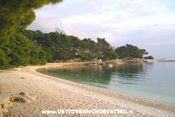 Apartments Milas-10% last minu – photo 8