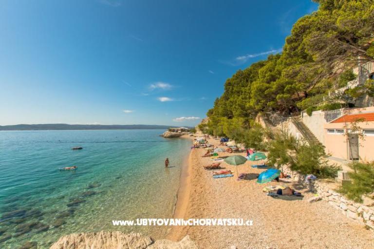 Apartments near the beach – photo 4
