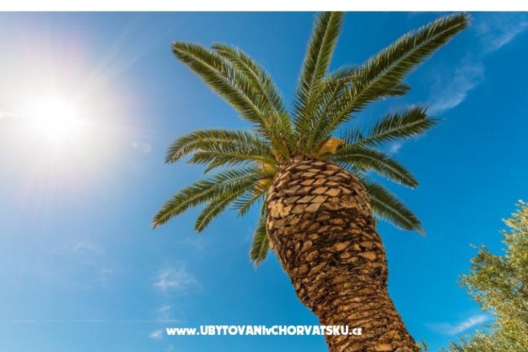 AApartments Brela Jago – photo 3