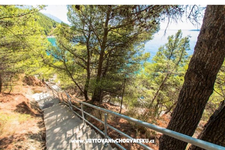 AApartments Brela Jago – photo 5