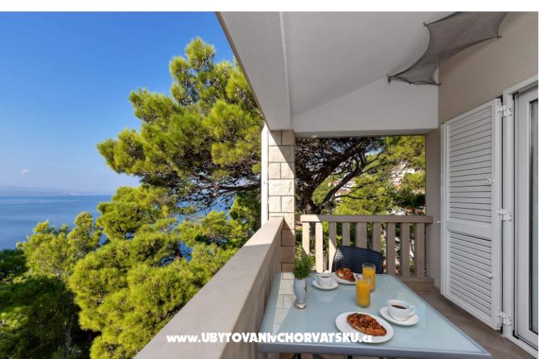 Pine Canopy Studios and Apartments – photo 17