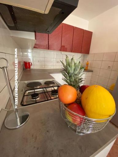 Vila Filip – photo 16