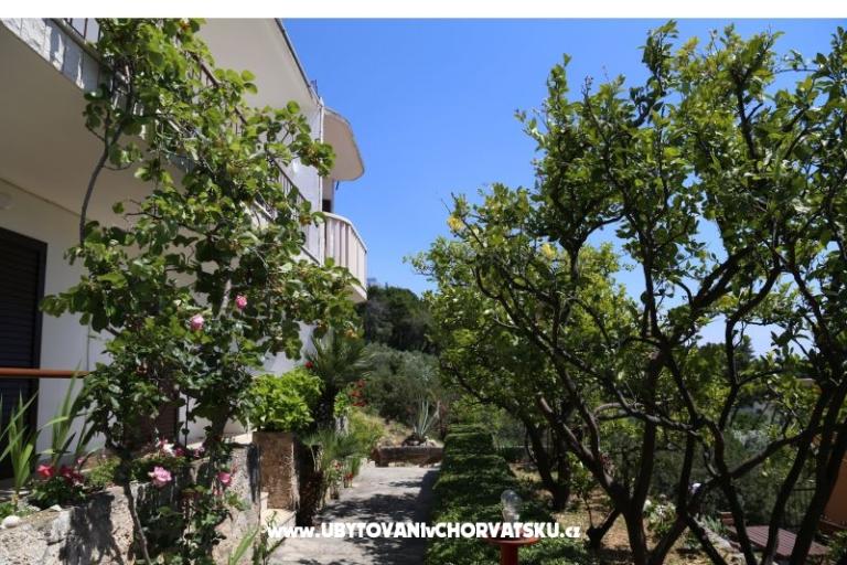 Apartments Mare – photo 17