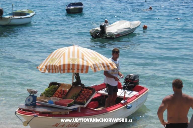 Villa Brelissima – photo 15