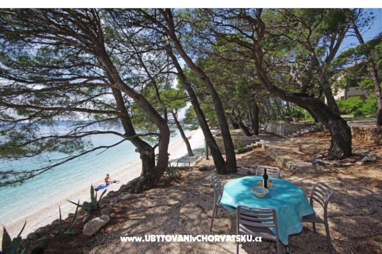 Villa Ruza – photo 10