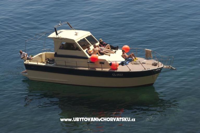 Pension Tramontana – photo 9