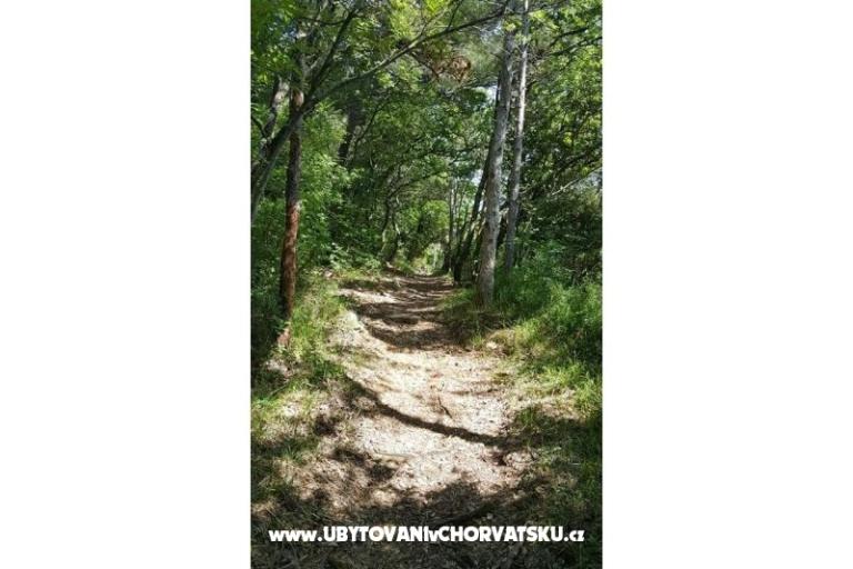 VILLA LYDIA SELCE  – photo 7