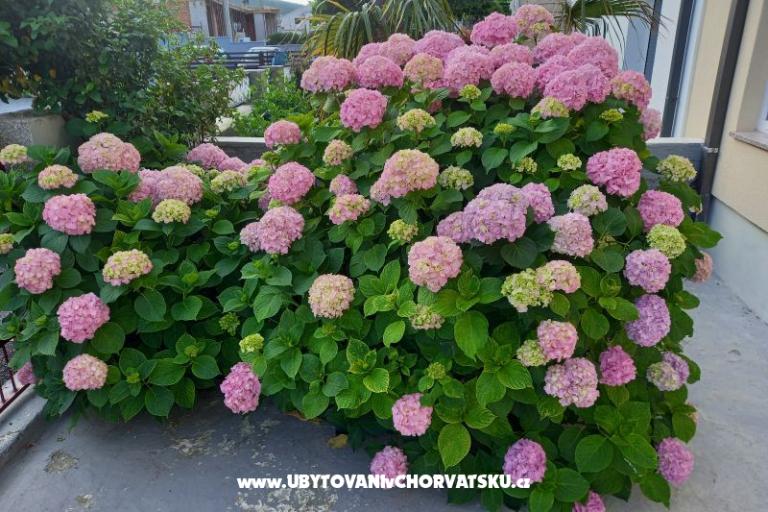 Apartments Rosi – photo 3