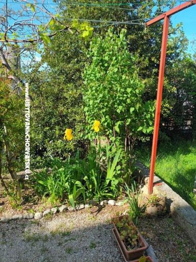 Apartments Rosi – photo 6