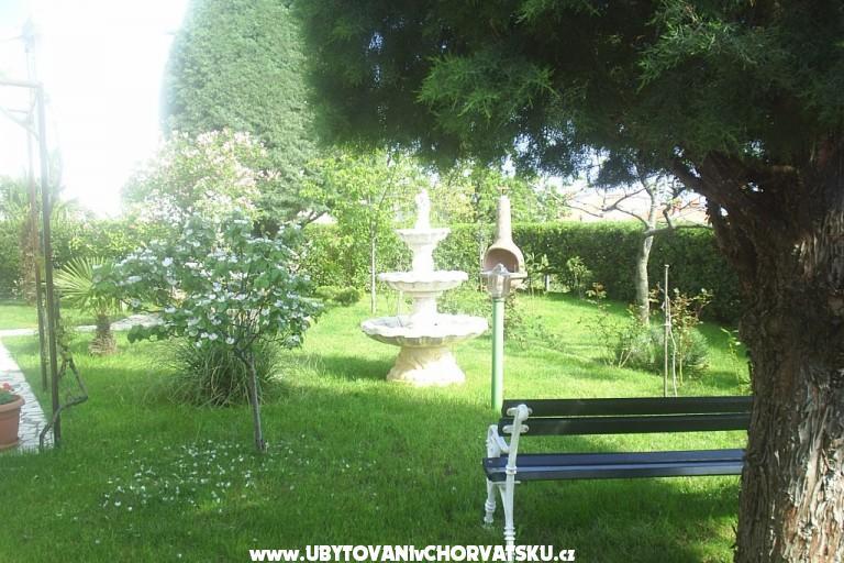 Apartment Belle Vue – photo 8