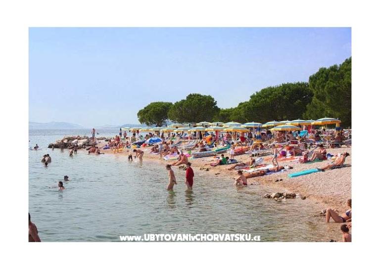 App Butković – photo 4