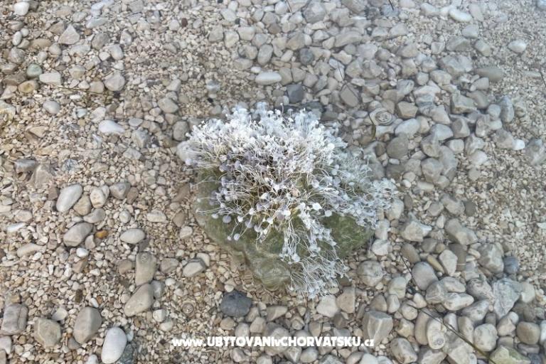 Apartmentový dům  – photo 7