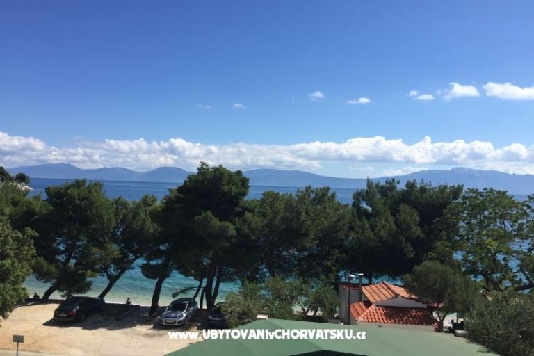 Villa  Delic – photo 14