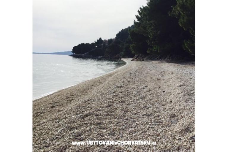 Villa  Delic – photo 16