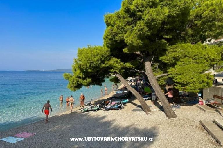Villa  Delic – photo 23