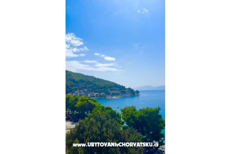 Villa  Delic – photo 24