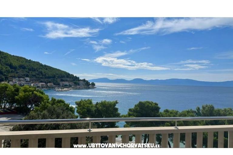 Villa  Delic – photo 3