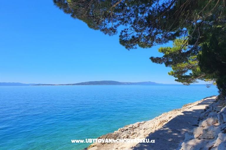 Apartments Villa Ivan Drvenik – photo 4