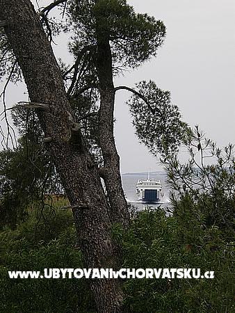 Apartment Miranda – photo 11
