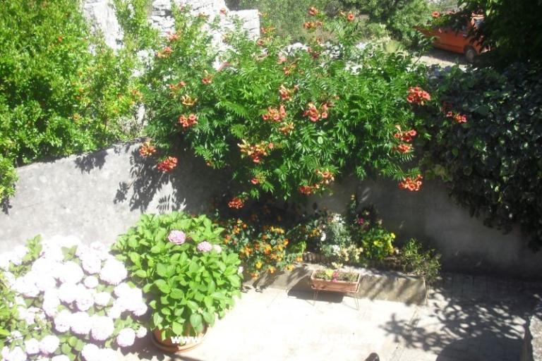 Apartment Jerkunica – photo 11
