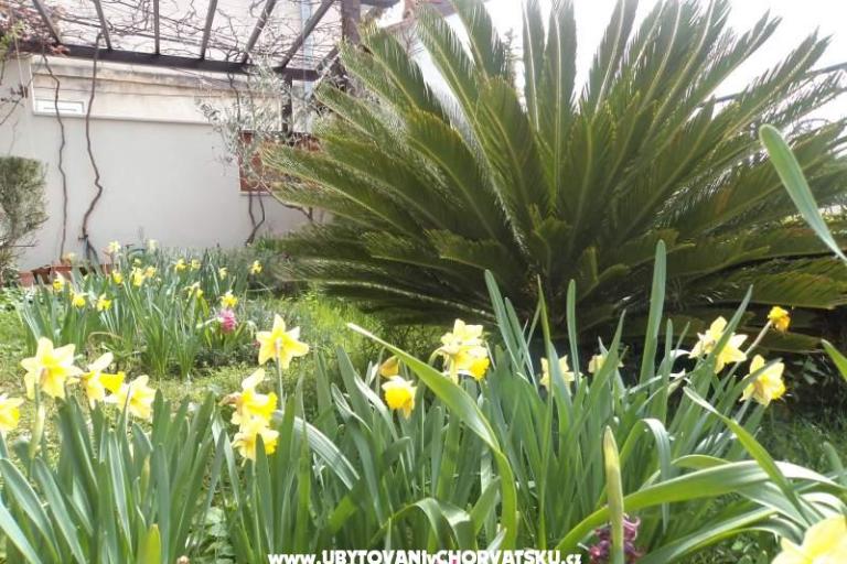 Apartment Venier – photo 14