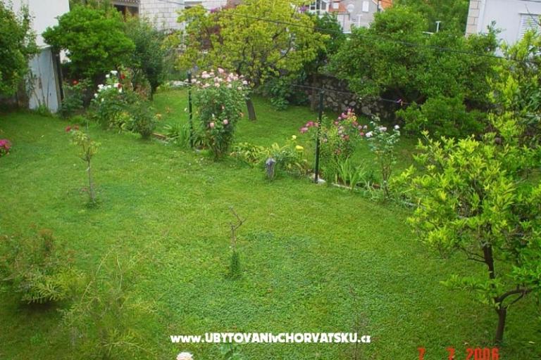 Apartments Ivan Š – photo 6