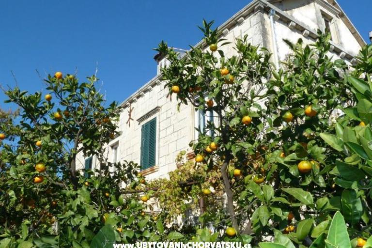 Apartments Mir Dubrovnik – photo 2